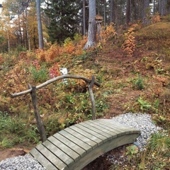 Гостевой дом в Терву, Республика Карелия