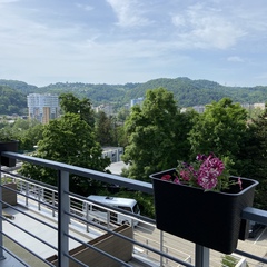 Апартаменты Пять звёзд Кассиопеи, Краснодарский край