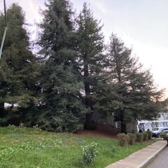 Апартаменты Пять звёзд Кассиопеи, Краснодарский край