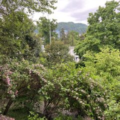 Апартаменты Пять звёзд Кассиопеи, Краснодарский край