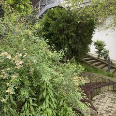 Апартаменты Пять звёзд Кассиопеи, Краснодарский край