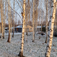 Дом Братья Грин, Московская область