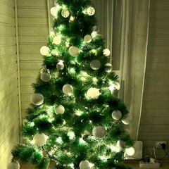 Дом Братья Грин, Московская область