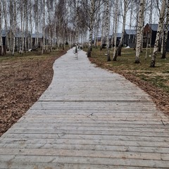 Дом Братья Грин, Московская область