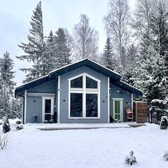 Гостевой дом Skandy Village, Ленинградская область