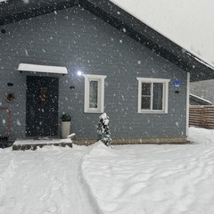 Гостевой дом Skandy Village, Ленинградская область