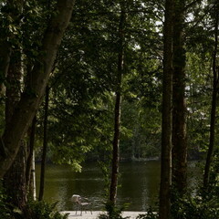 Гостевой дом Ривер Хаус, Республика Карелия