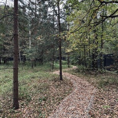 Дом Wood Estate , Московская область