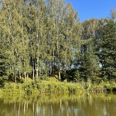 Вилла Першино, Московская область