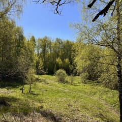 Вилла Першино, Московская область