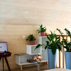 Вилла Першино, Московская область