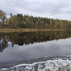 Дом Наедине — дома на воде, Ленинградская область