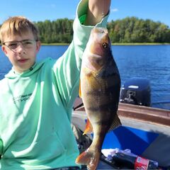 Дом Наедине — дома на воде, Ленинградская область