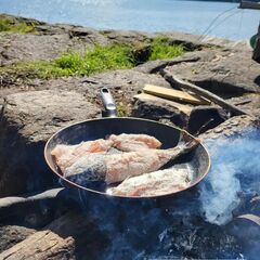 Дом Наедине — дома на воде, Ленинградская область