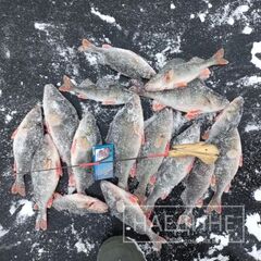 Дом Наедине — дома на воде, Ленинградская область