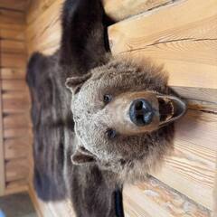 Гостевой дом Ладога Ланкулансаари, Республика Карелия