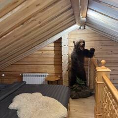 Гостевой дом Ладога Ланкулансаари, Республика Карелия