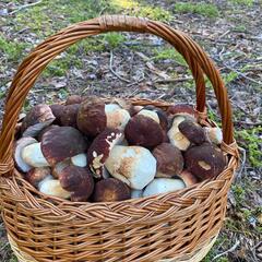 Гостевой дом Ладога Ланкулансаари, Республика Карелия