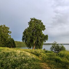Загородный дом Дача на озере Балтым с баней и чаном, Свердловская область