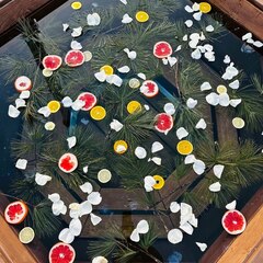 Загородный дом Дача на озере Балтым с баней и чаном, Свердловская область