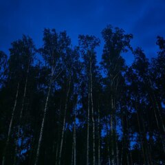 Загородный дом Дача на озере Балтым с баней и чаном, Свердловская область