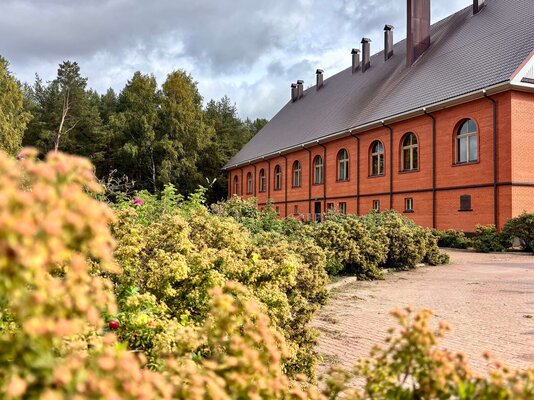 Берег Мологи — фото 3