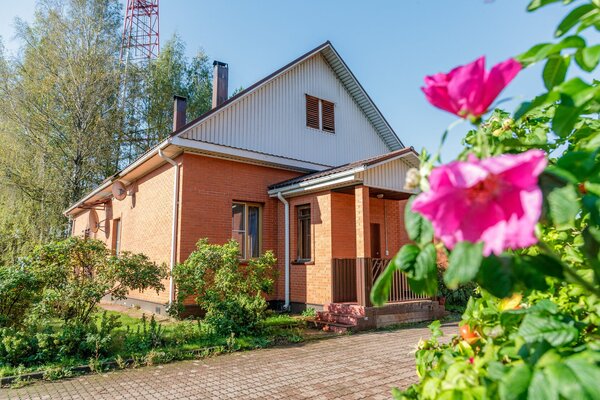 Берег Мологи — фото 1