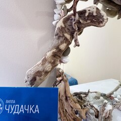 Гостевой дом Вилла Чудачка, Краснодарский край