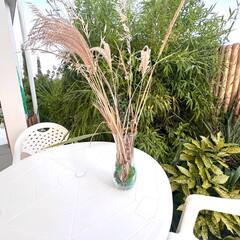 Гостевой дом Вилла Чудачка, Краснодарский край