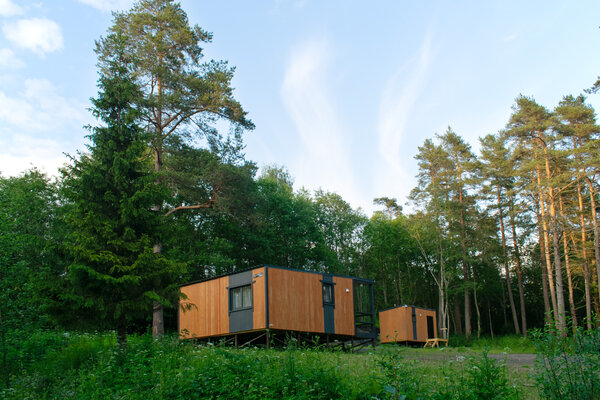 Морошка — фото 3