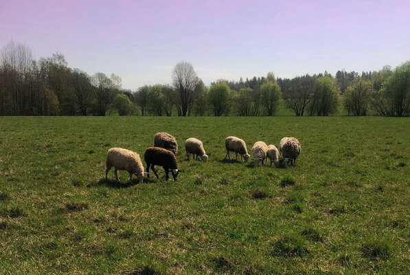 Vilajoki Agro — фото 5
