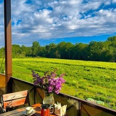 Гостевой дом Vilajoki Agro, Ленинградская область