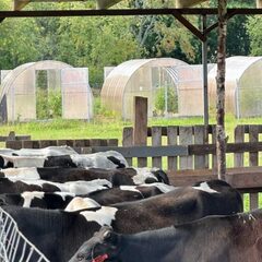 Гостевой дом Vilajoki Agro, Ленинградская область