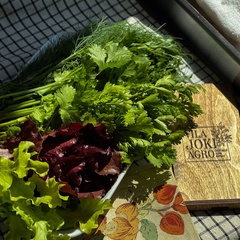 Гостевой дом Vilajoki Agro, Ленинградская область