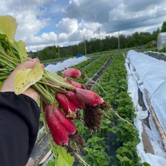 Гостевой дом Vilajoki Agro, Ленинградская область