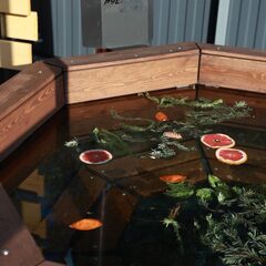 Дом Ривер Хаус, Московская область