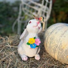 Гостиница Дом Кролика, Республика Адыгея