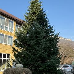 Гостиница Дом Кролика, Республика Адыгея