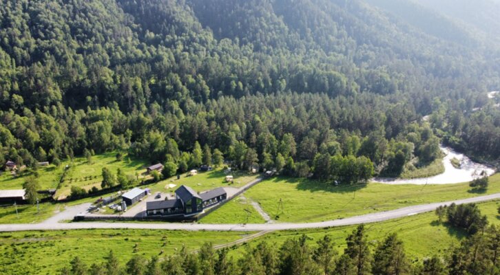 Игуана  — фото 4