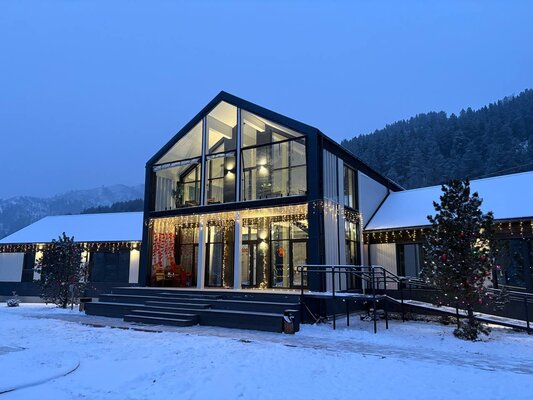 Игуана  — фото 1