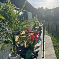 Отель Игуана , Республика Алтай