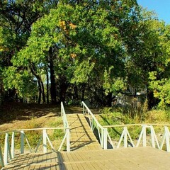 База отдыха Лада, Волгоградская область