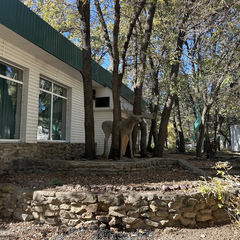 База отдыха Лада, Волгоградская область