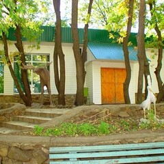 База отдыха Лада, Волгоградская область