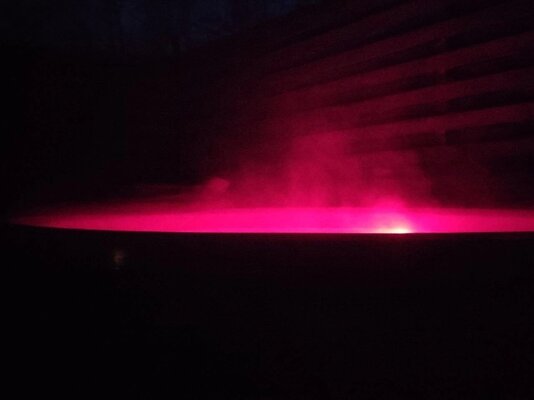 Гнездо — фото 5