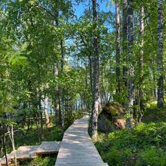 Эко-комплекс Избушки на опушке, Ленинградская область