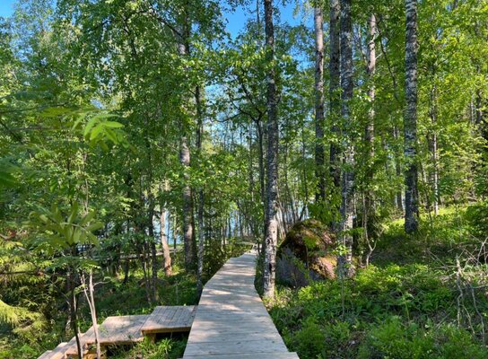 Избушки на опушке — фото 4