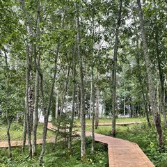 Эко-комплекс Избушки на опушке, Ленинградская область