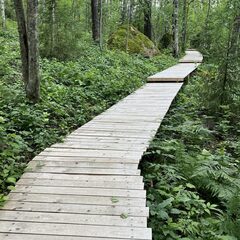Эко-комплекс Избушки на опушке, Ленинградская область