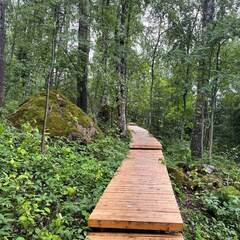 Эко-комплекс Избушки на опушке, Ленинградская область